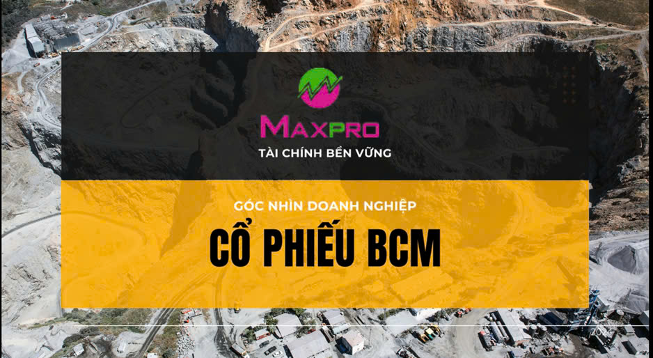 BCM – Tổng Công ty Đầu tư và Phát triển Công nghiệp – Phân tích báo cáo tài chính